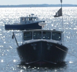 2 maine lobster boats on moorings