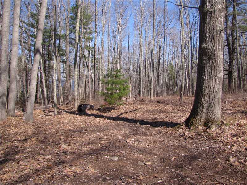 Building lot for sale in Bayside - Northport, Maine