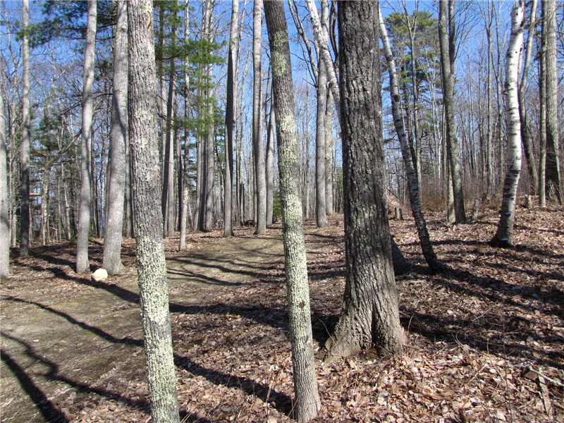 a short walk from the dock, beach, park and golf course