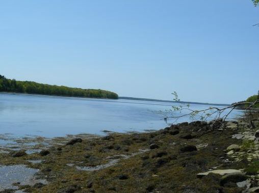 Maine Log Home on tidal ocean cove with complete privacy