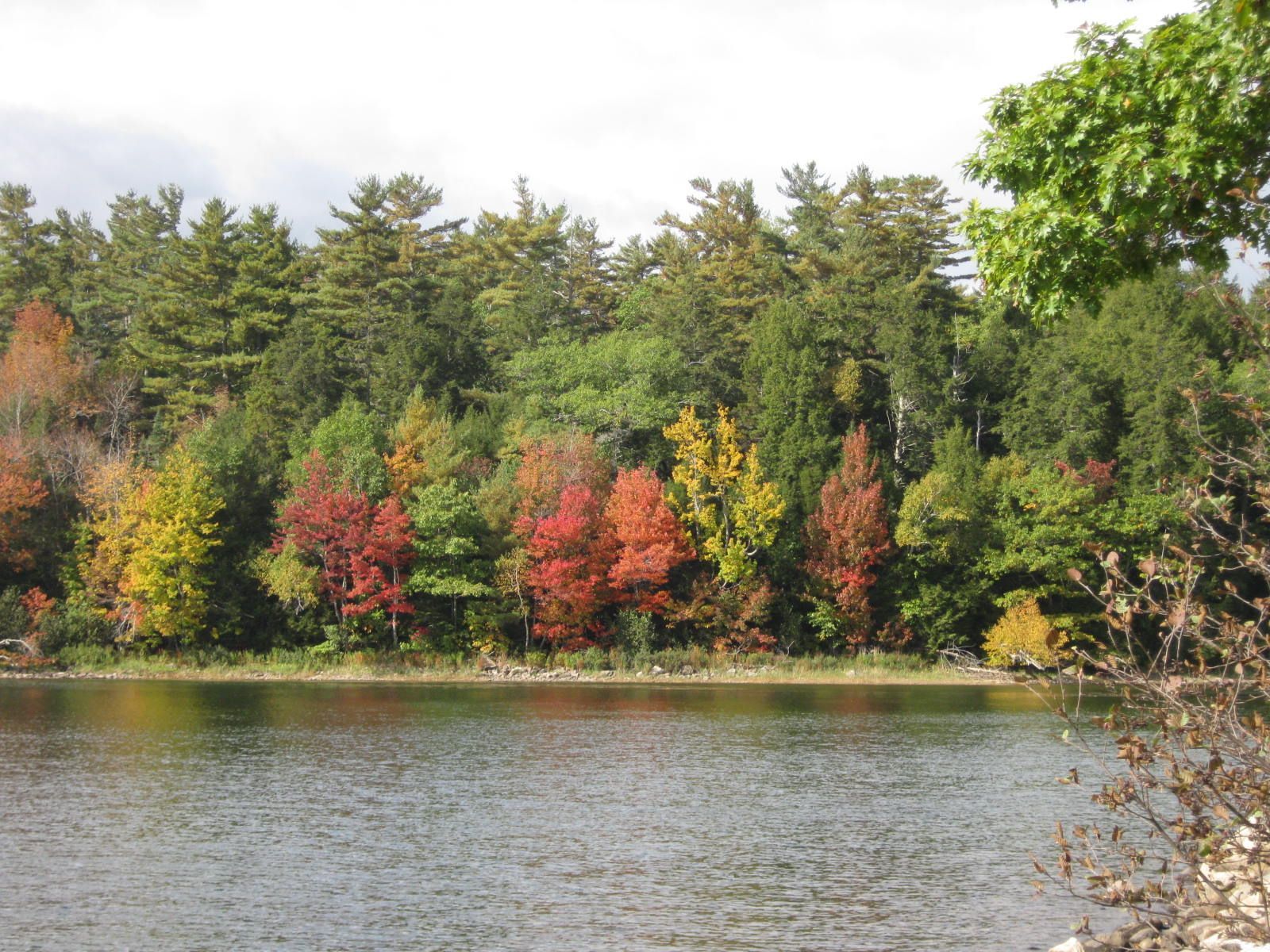 Fall Day on Swan Lake in Maine