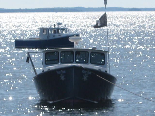 Lobsterboats on the Coast of Maine in Searsport Maine