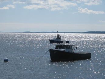 Maine Lobsterboats