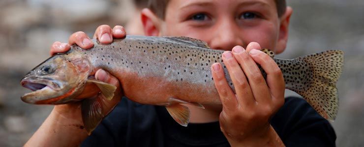 Get Kids Hooked on Fishing in Maine - Mackerel Fishing in Maine