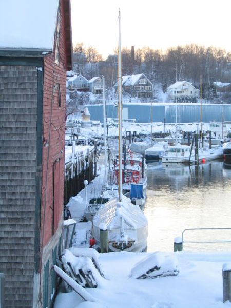 CoastWise Realty - Maine's Oceanfront Real Estate Specialists -  Scene Outside Our Office