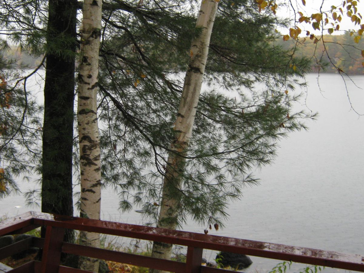 Oceanfront Ranch Home in Belfast Maine