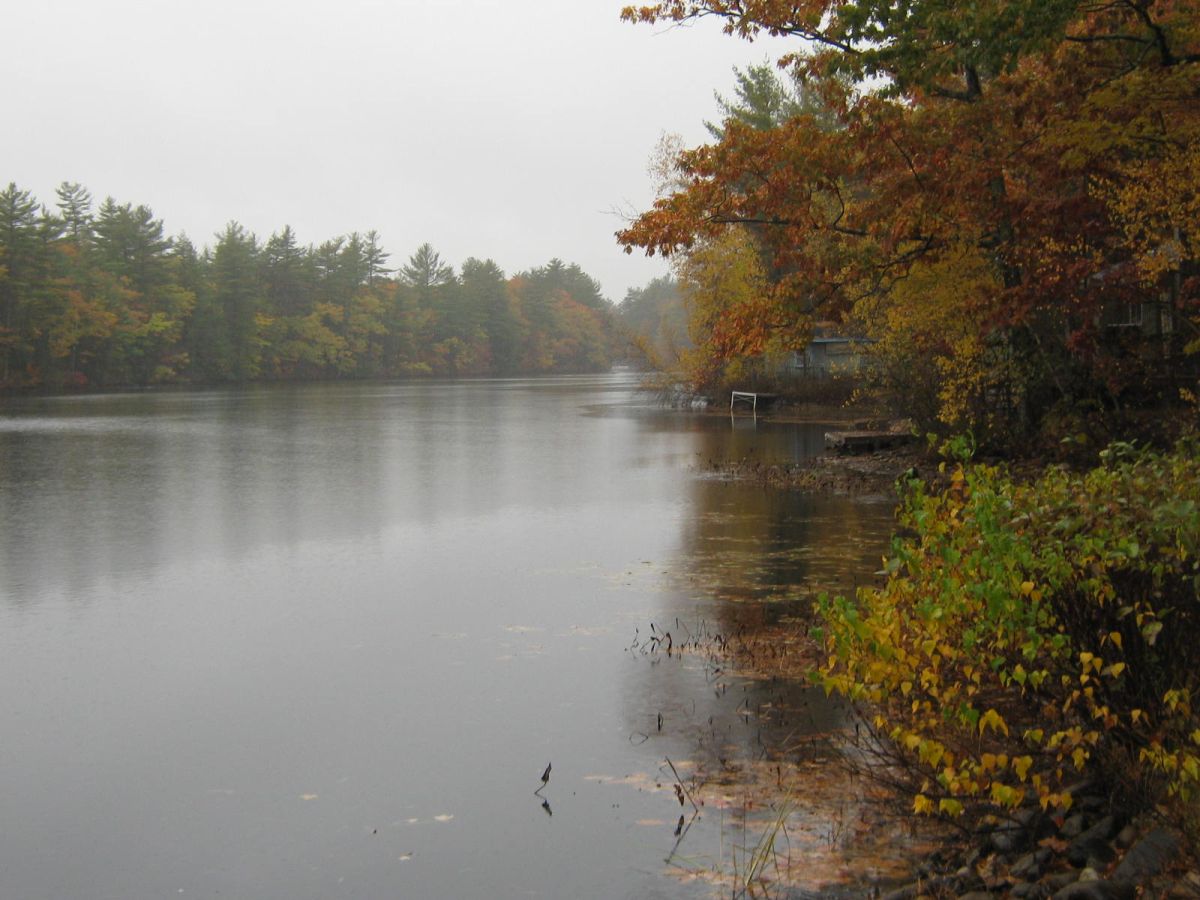 Pond Views in Maine Late Fall