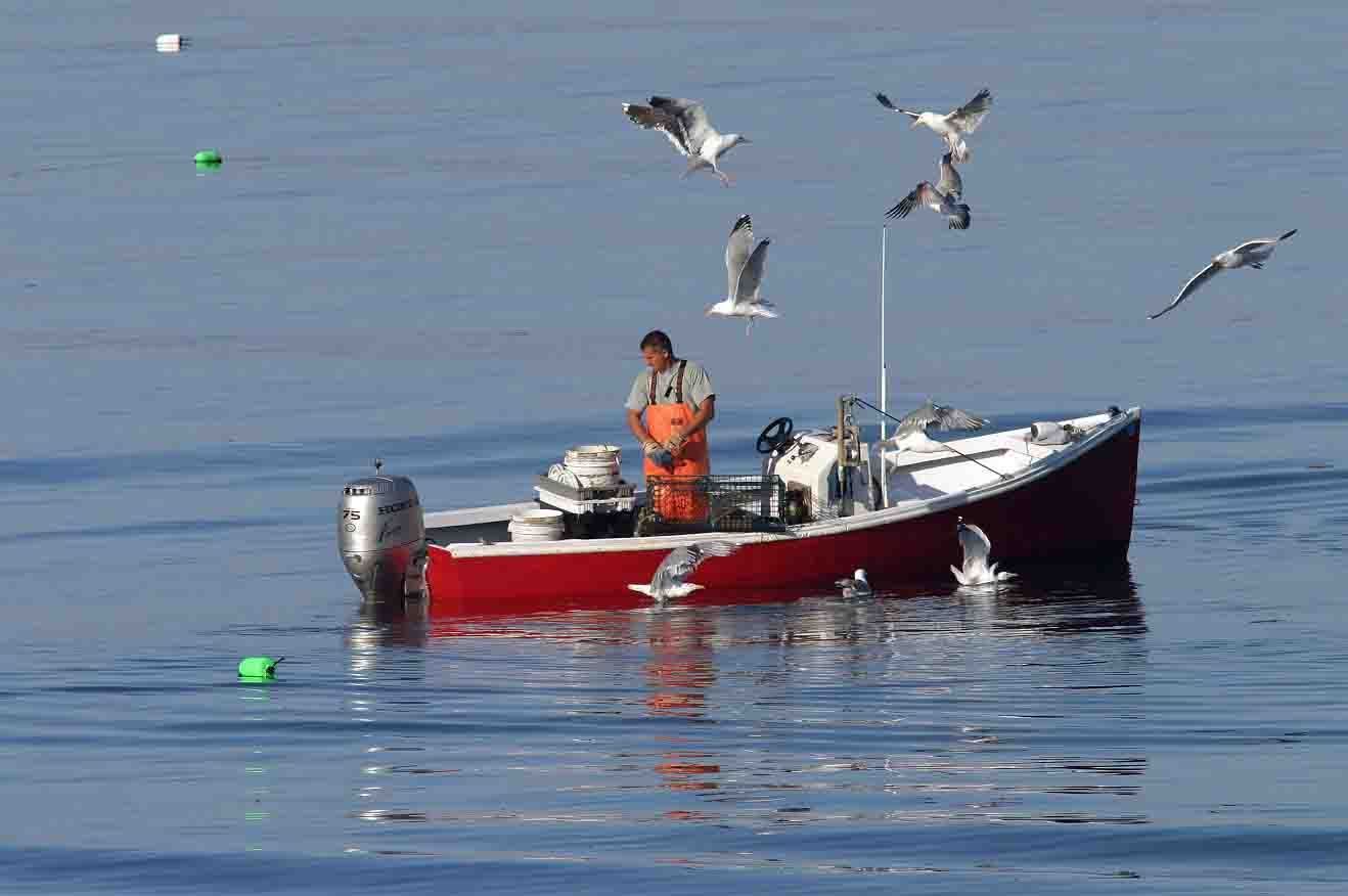 Lobsterman at Work on the Coast of Maine