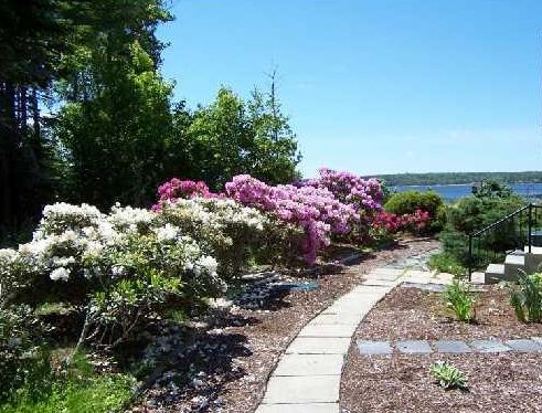 Gracious and carefree one-level living, walk to town or waterfront in Belfast, Maine