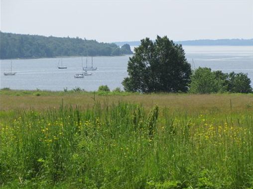 Belfast Maine Oceanfront Condo with Dock & Pier